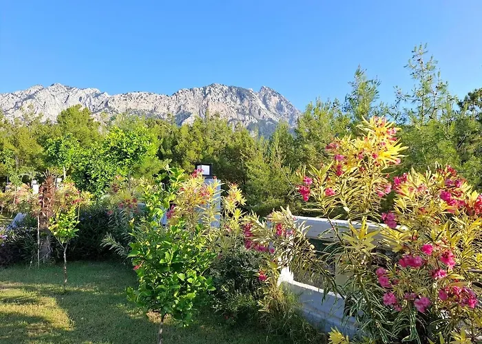 Villa Beysvillas - B