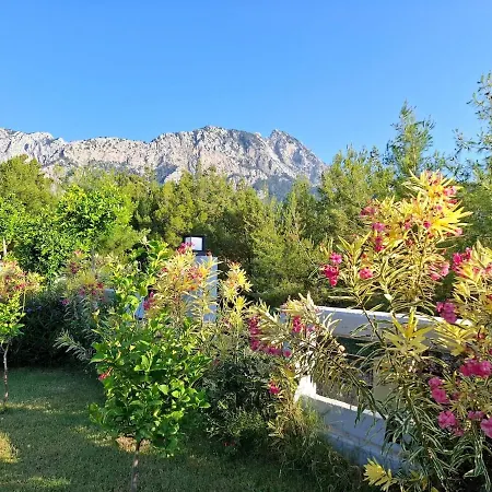 Villa Beysvillas - B
