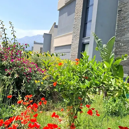 Beysvillas - B Villa