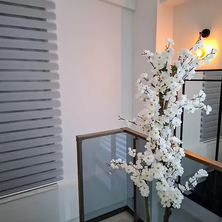 Beysvillas - B Villa