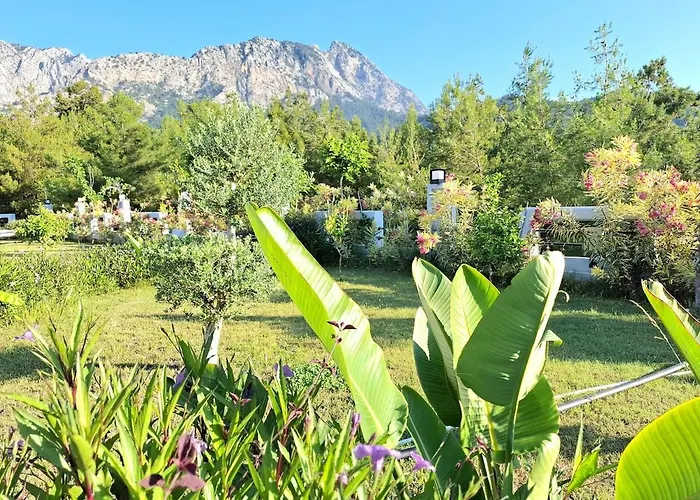 Villa Beysvillas - B *