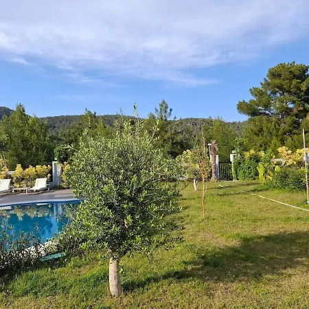 Vilă Beysvillas - B