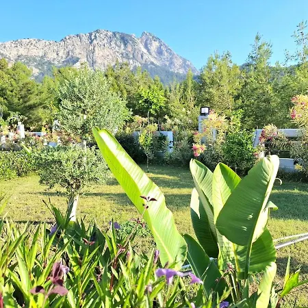 Vilă Beysvillas - B *
