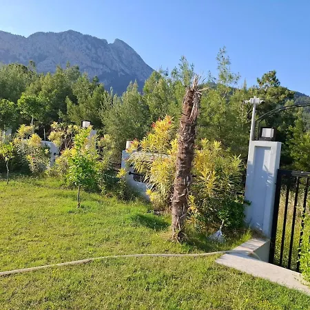 Beysvillas - B Villa